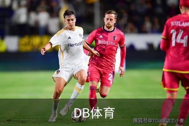 DB体育 公司简介